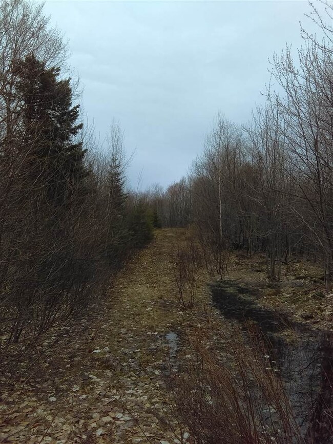 Lot 67 Hampshire Woods Loop, Errol, NH 03579 - photo 4