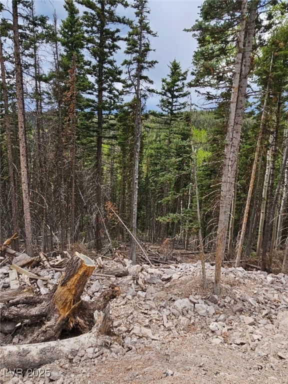 View of tree filled area