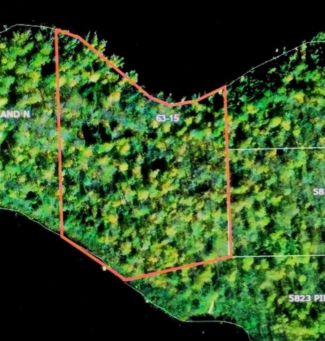 XX Pine Island NW, Tower, MN 55790 - photo 2