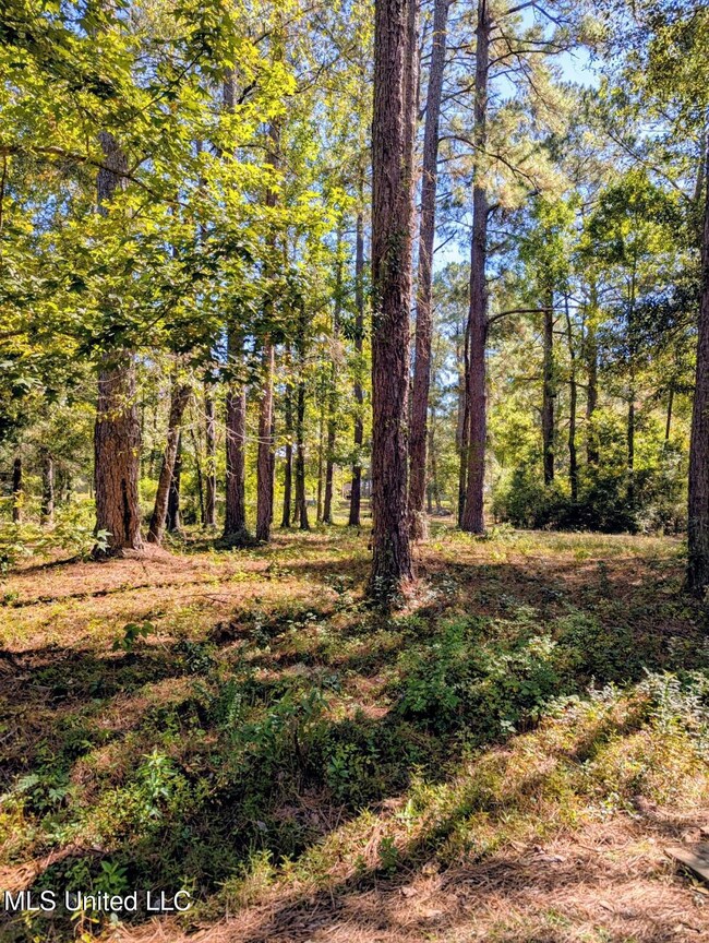 0 Norrell Dr unit 4133303, Petal, MS 39465 - photo 2