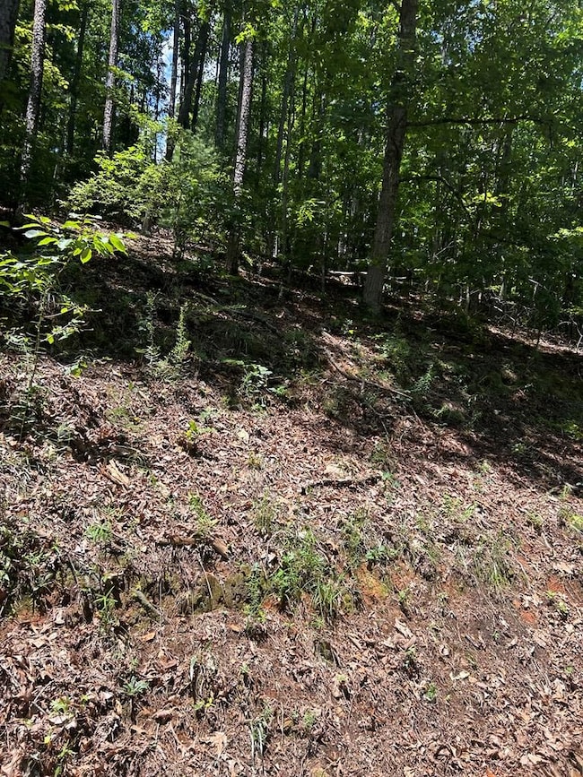 0 Skyview Acres Dr unit 417622, Murphy, NC 28906 - photo 3