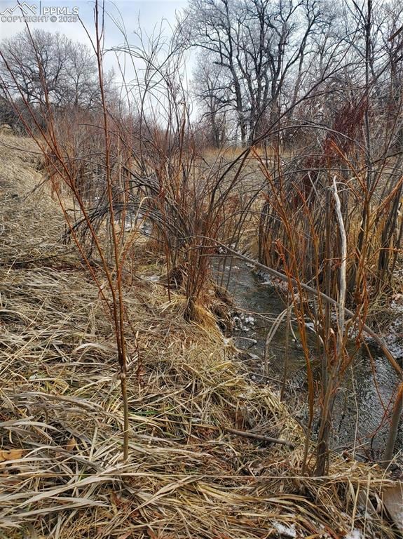 View of creek behind property