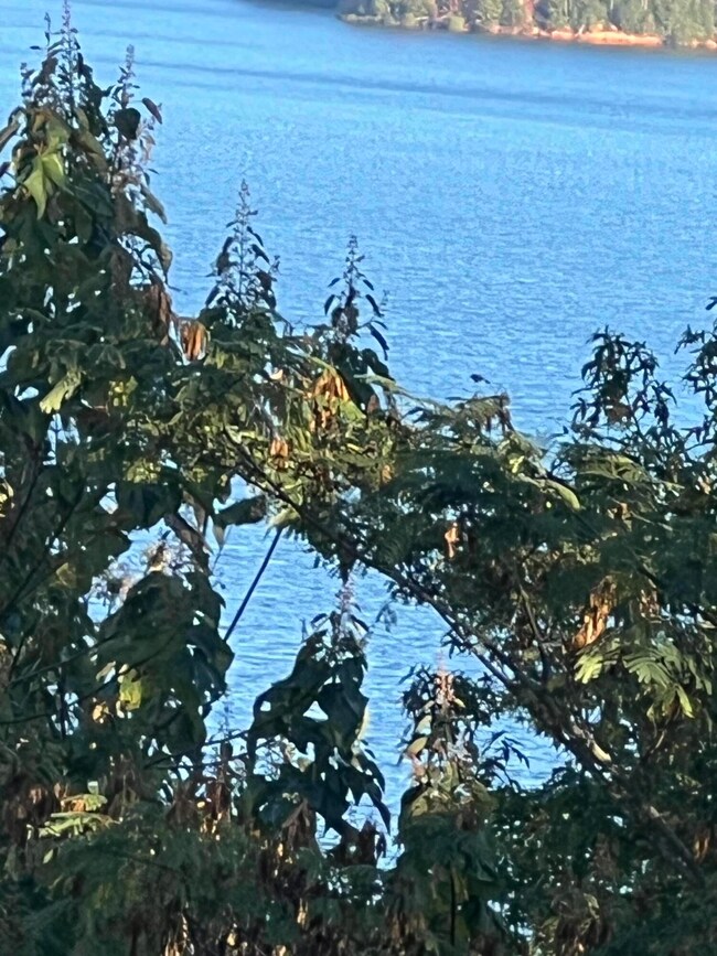 IMG-1912