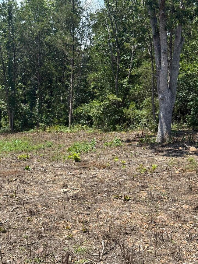 12952 Highway 5, Norfork, AR 72658 - photo 4