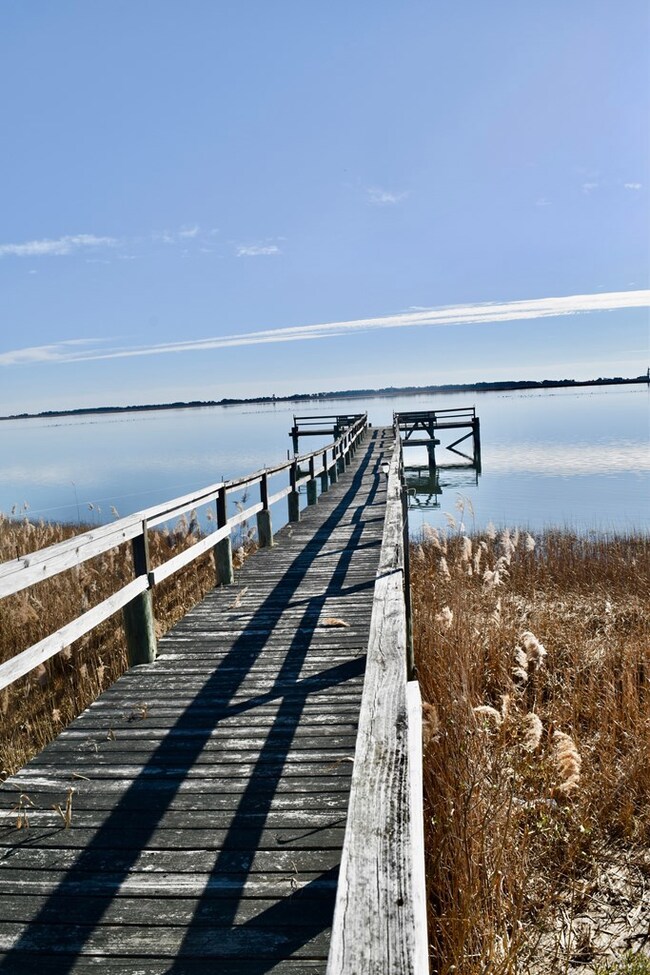 10244 Sandpiper Ln, Atlantic, VA 23303 - photo 3