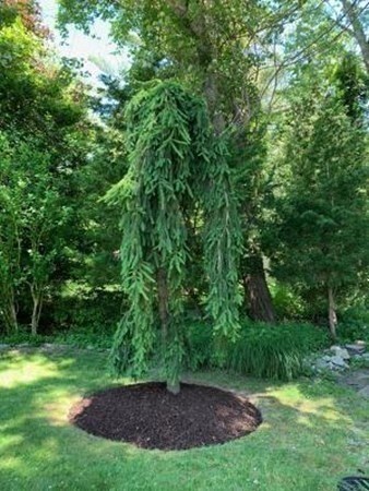 32 Truman Ave, North Dartmouth, MA 02747 - photo 6