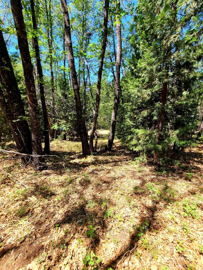 Hammond Ranch Slopping Land