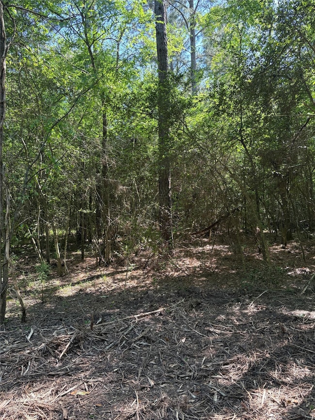 TBD Kelly Rd, Magnolia, TX 77354 - photo 7