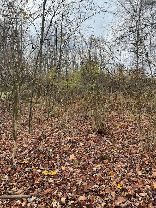 0 Big Bend Rd, Emlenton, PA 16373 - photo 3