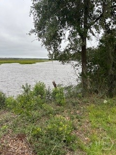 1179 River Plantation Place NE, Townsend, GA 31331 - photo 3