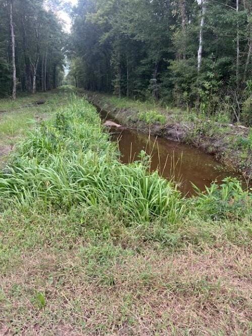 6572 N Highway 17, Awendaw, SC 29429 - photo 2