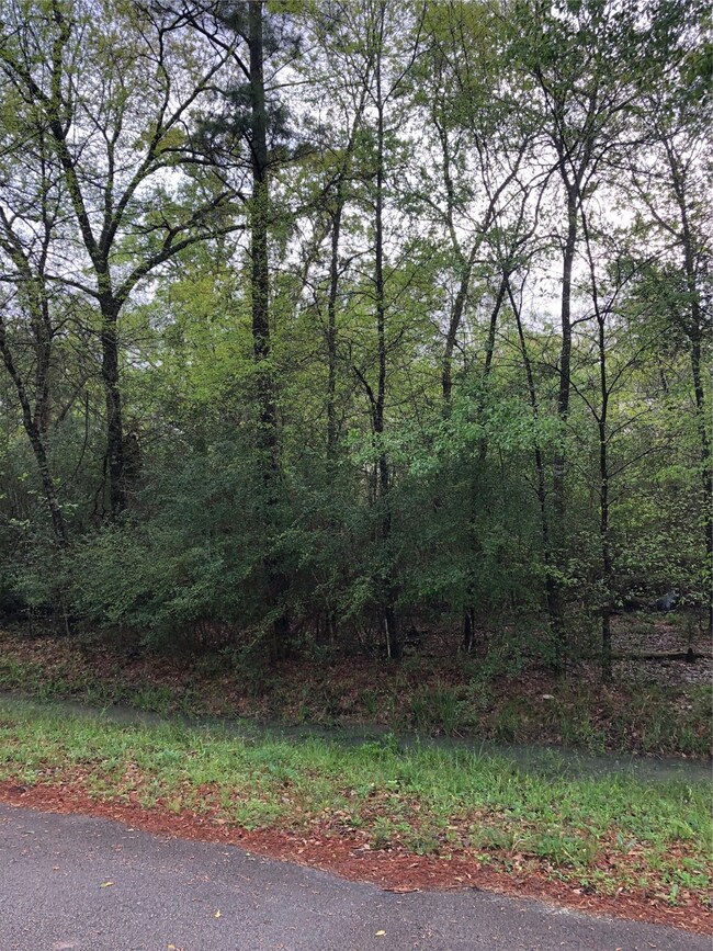 Lot 28 29 Cherokee Ln, Magnolia, TX 77354 - photo 7