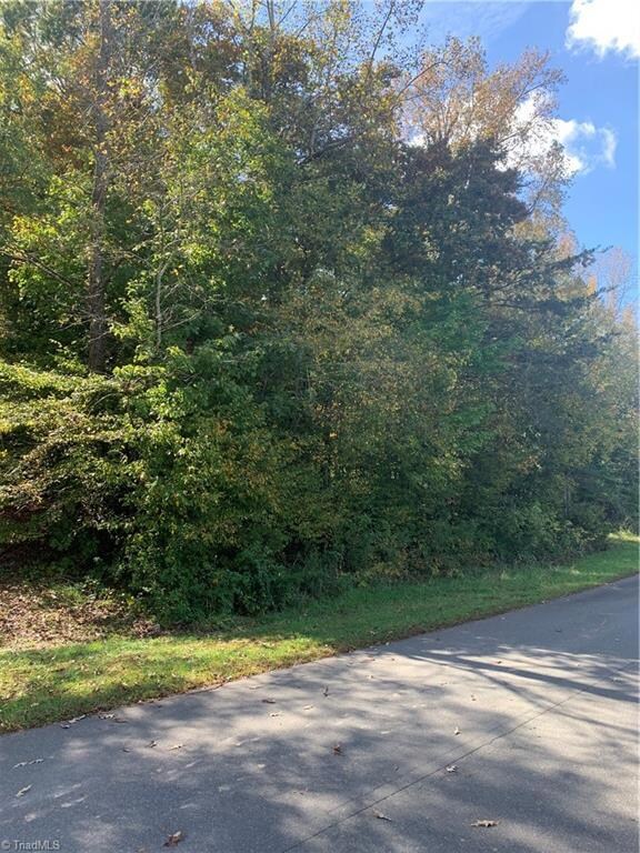 0 Jennifer View Dr unit 999299, Grant, NC 27205 - photo 2