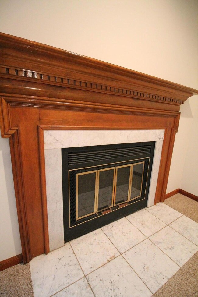Woodburning fireplace
