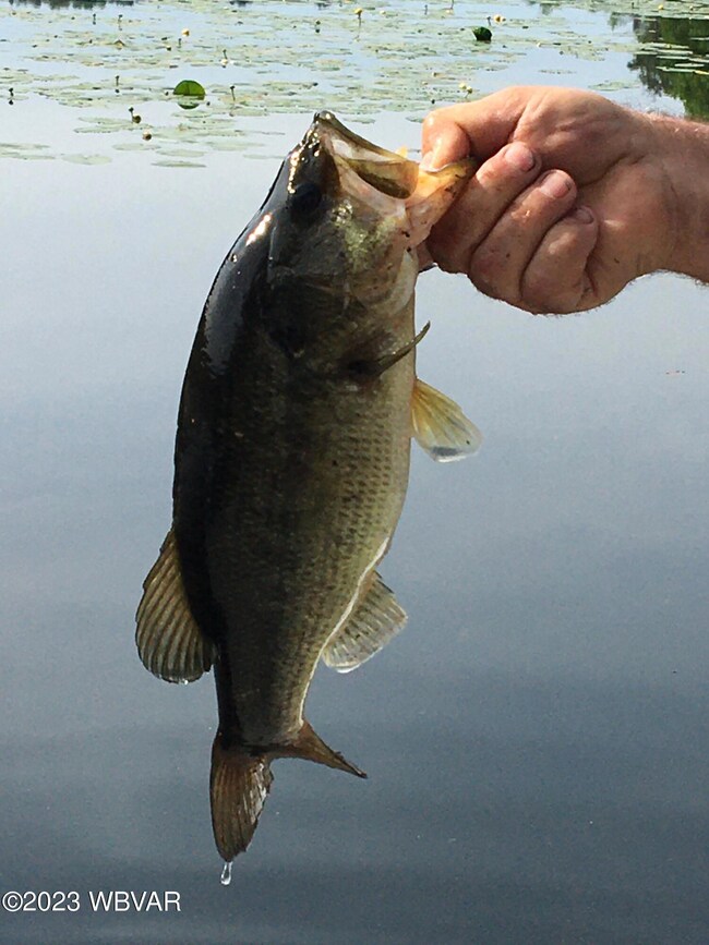 Fresh Catch off the Deck