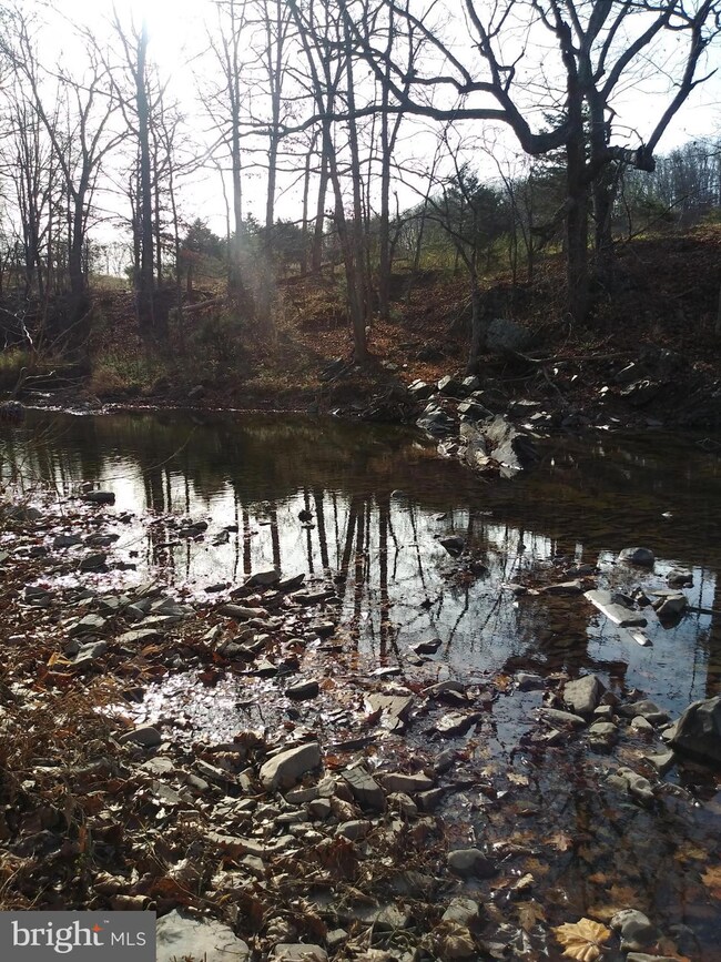 Lot #4 Little Cacapon-Levels Rd, Points, WV 25437 - photo 5