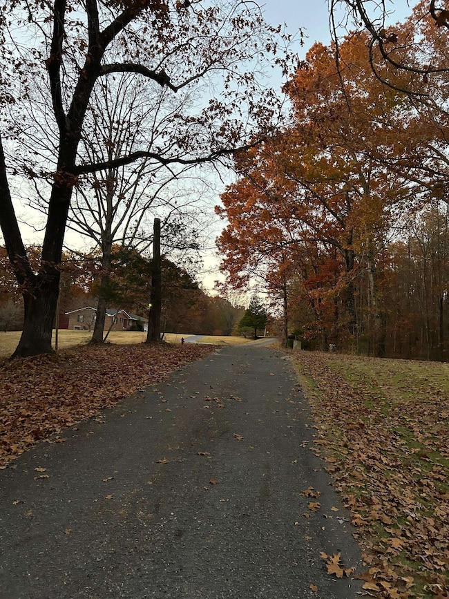 131 Freedom Hills Rd, Red Bay, AL 35582 - photo 4