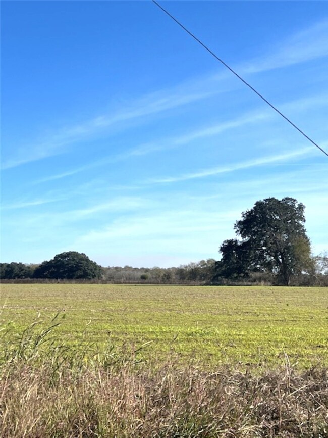 28 Acres Shaws Bend Rd, Columbus, TX 78934 - photo 4