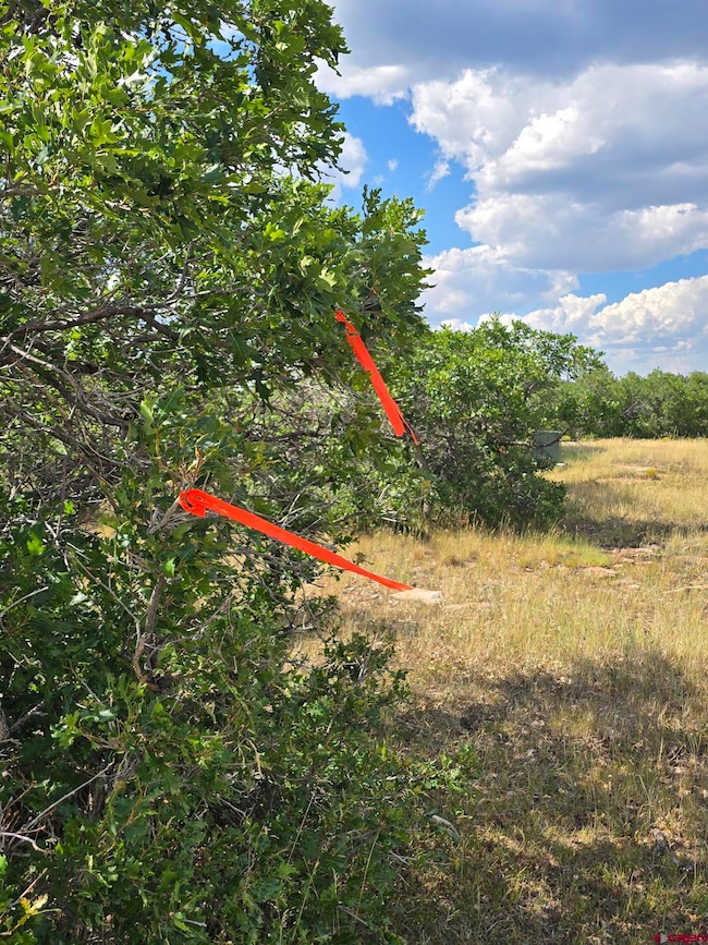 tbd Lone Cone Meadows Ln, Norwood, CO 81423 - photo 7