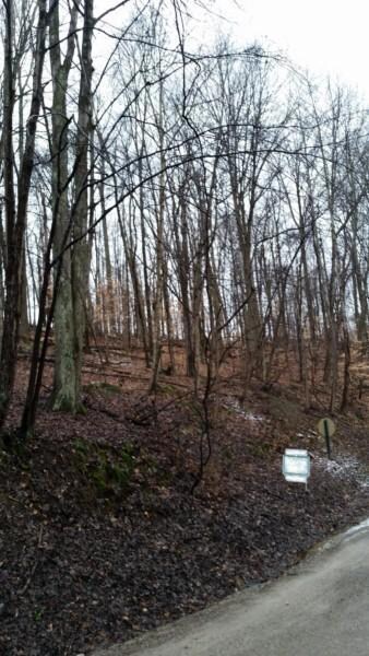 1581 Cardinal Hill Ln, Sugar Grove, OH 43155 - photo 3