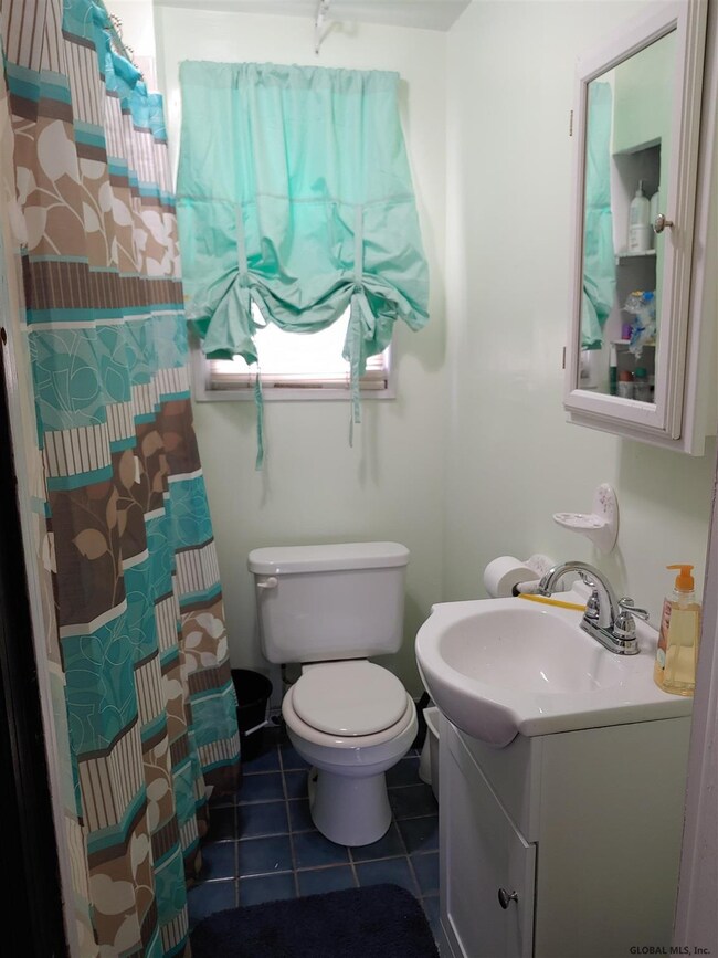 386 Mountain St, Albany, NY 12209 - photo 5