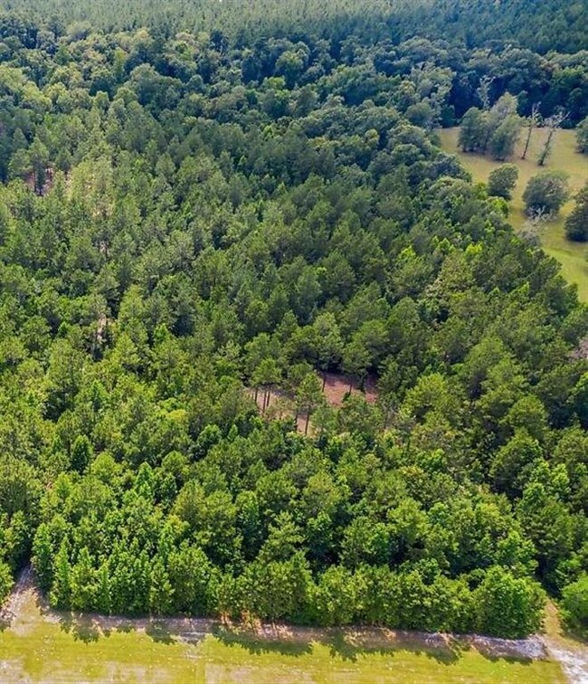 0 Hickory Branch Rd unit 188947, Lake Charles, LA 70611 - photo 2