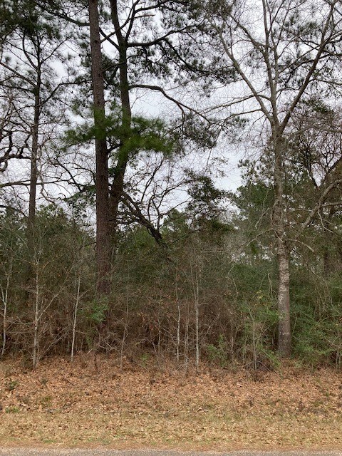 0 Lazy Hollow Ln, Hockley, TX 77447 - photo 6