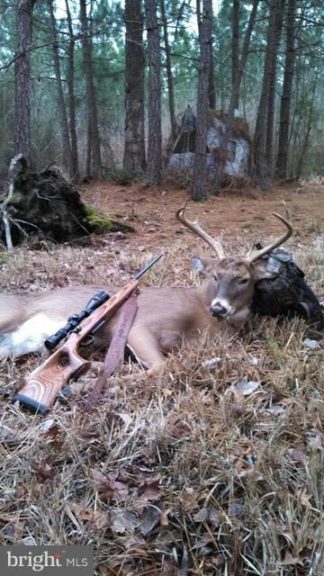 0 Andrews Rd unit 1001675899, Crapo, MD 21626 - photo 4