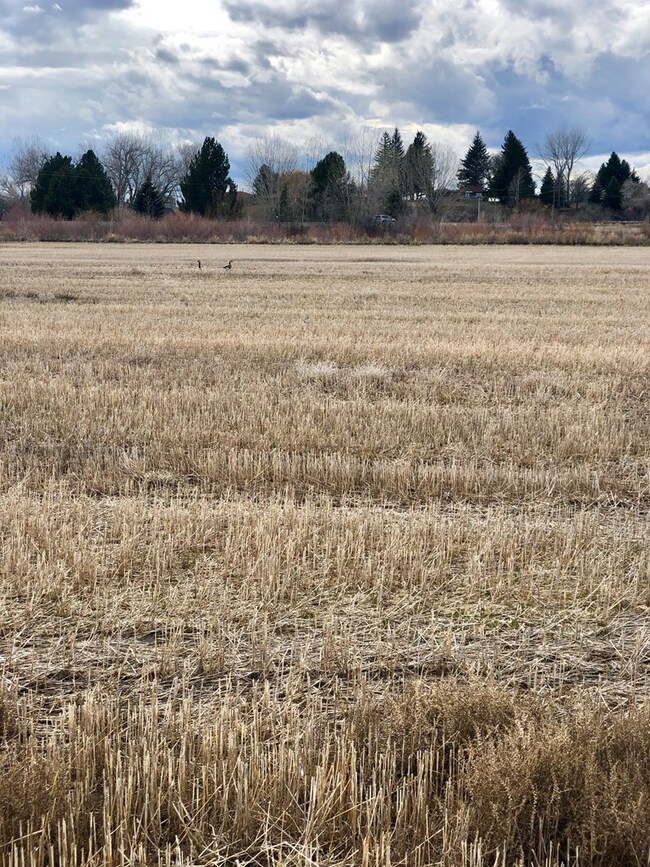 1262 N 590 E, Shelley, ID 83274 - photo 3
