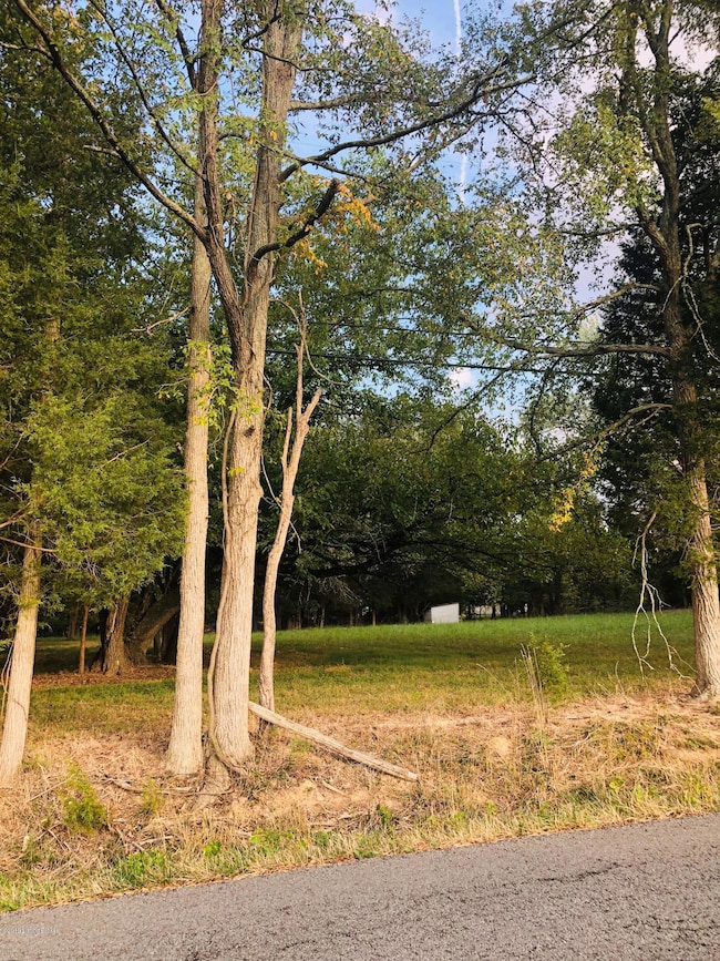 10103 Oak Grove Rd, Louisville, KY 40291 - photo 5