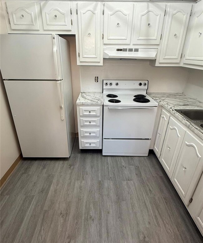 11719 Boynton Ln, New Port Richey, FL 34654 - photo 4