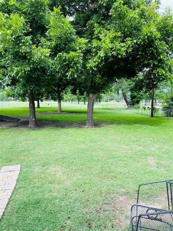 Large backyard with nice Pecan trees