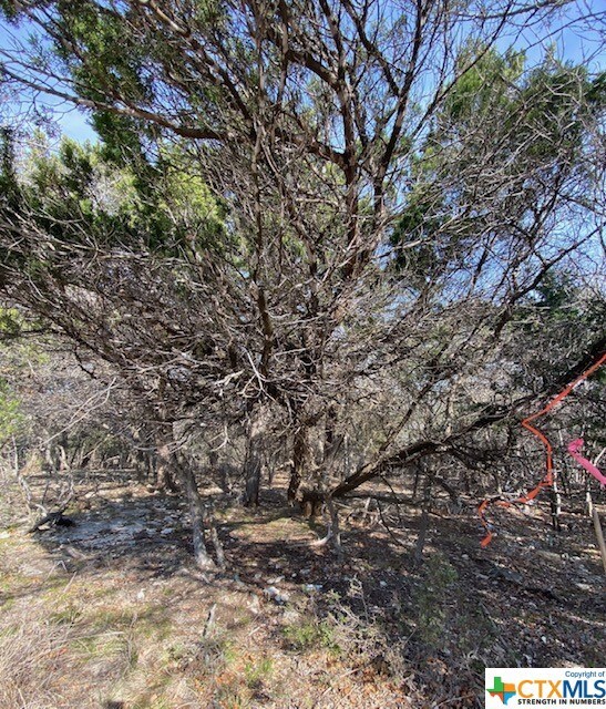 15944 Salado Dr, Temple, TX 76502 - photo 5