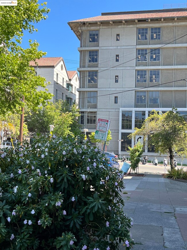 THE UC BERKELEY campus is directly across the street