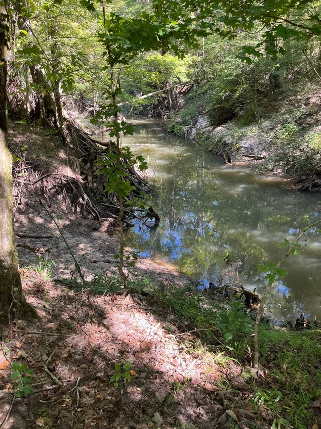 TBD Fm 1745 N, Colmesneil, TX 75938 - photo 6