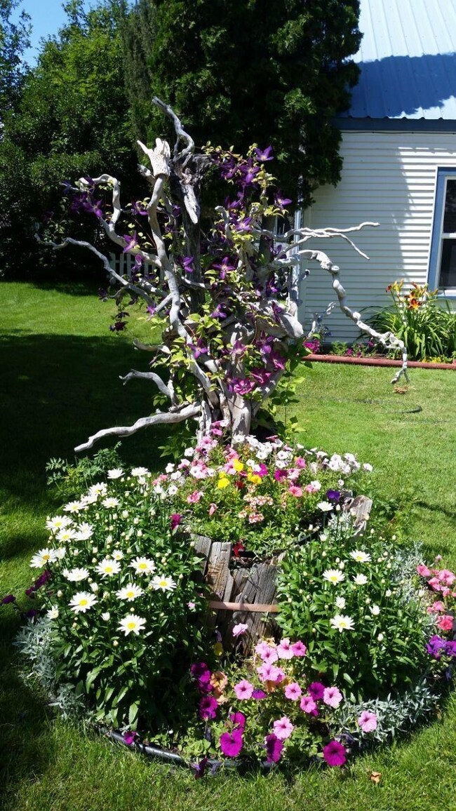 Flowers