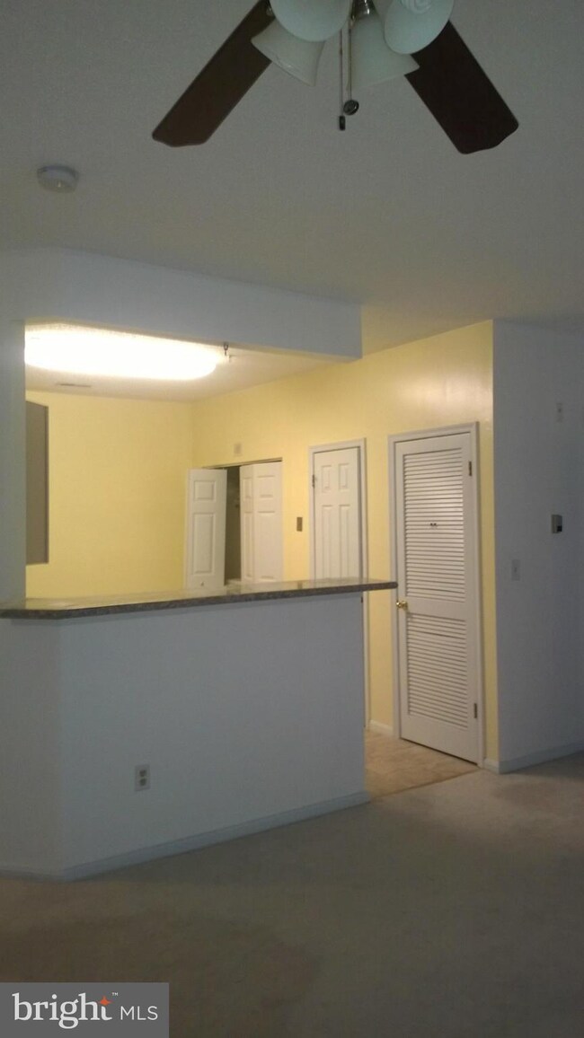 7113 Sandown Cir unit 202, Windsor Mill, MD 21244 - photo 2