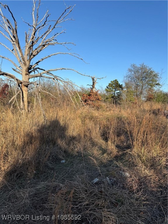 TBD E 1115, Sallisaw, OK 74955 - photo 6