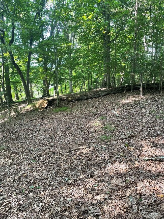 Gentle Sloping
