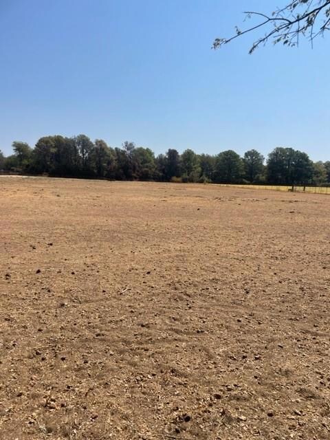 12310 Liberty School Rd, Azle, TX 76020 - photo 7