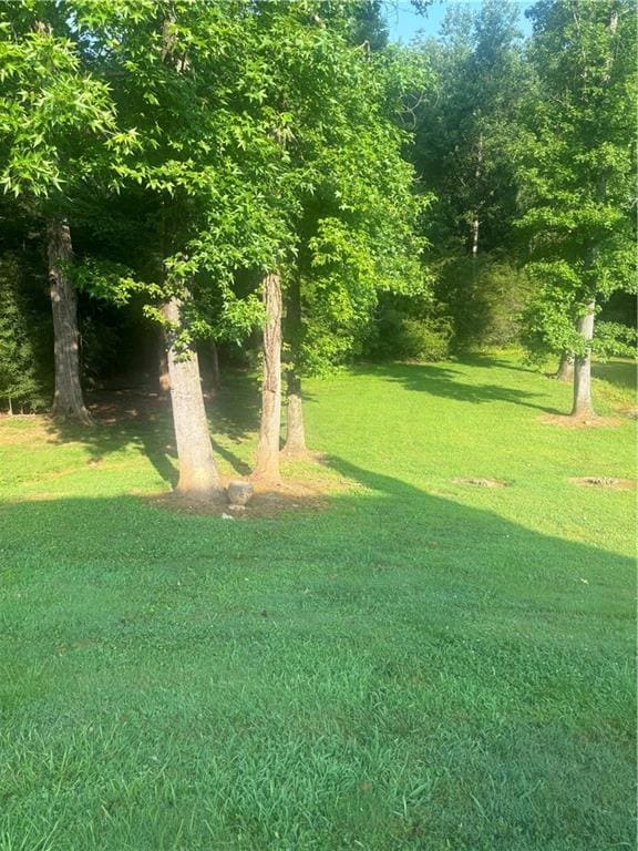 View of grassy yard