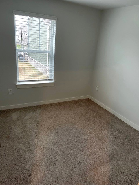 1741 Frodo Way, Murfreesboro, TN 37128 - photo 6