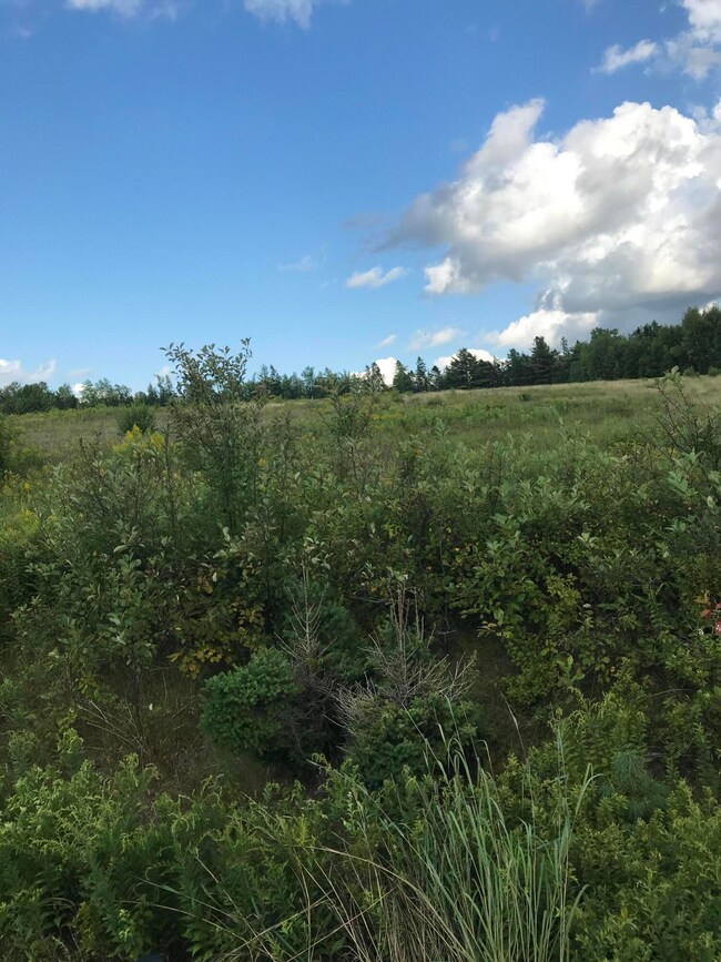 M1978 L92H State Route 9, Crawford, ME 04694 - photo 5