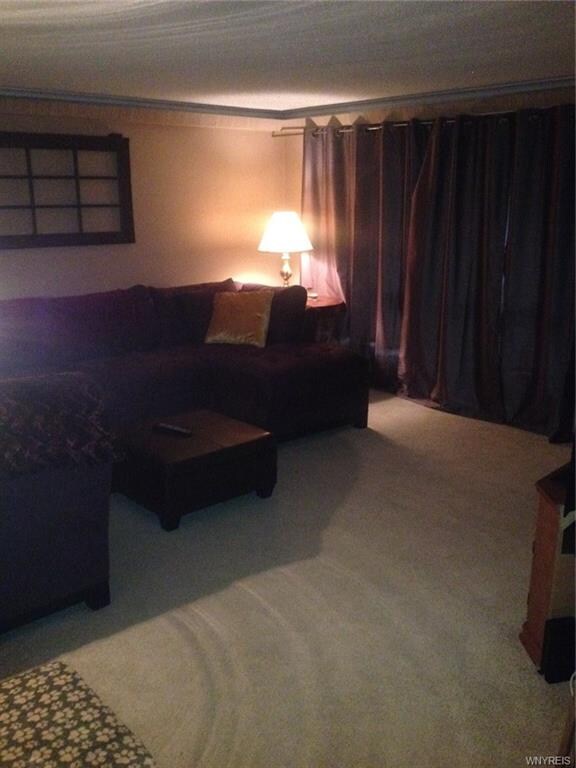 Lower Living Room