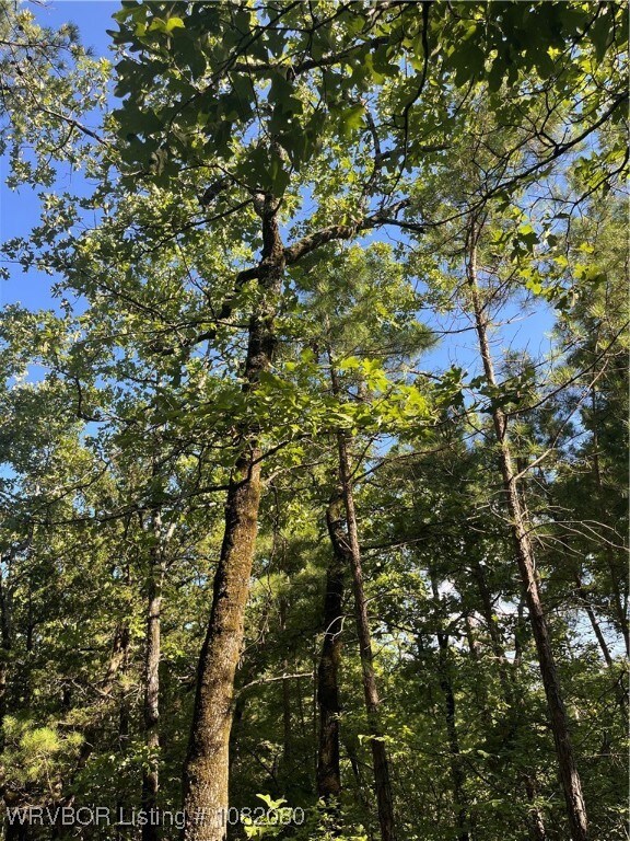 Tract 7 SE 1083rd Ave, Red Oak, OK 74563 - photo 2