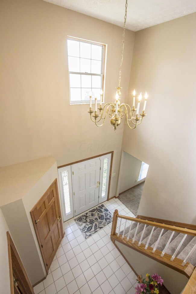 Entry View from Above V