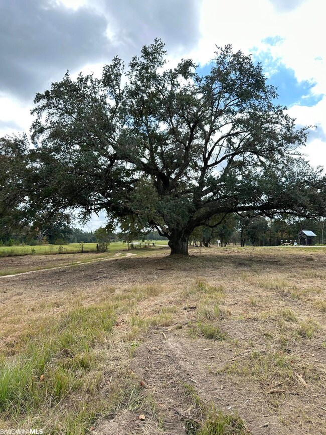 0 Hampton Ridge Ct unit Lot 50 351764, Mobile, AL 36608 - photo 5