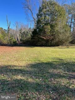 7982 Leedstown Rd, Colonial Beach, VA 22443 - photo 3