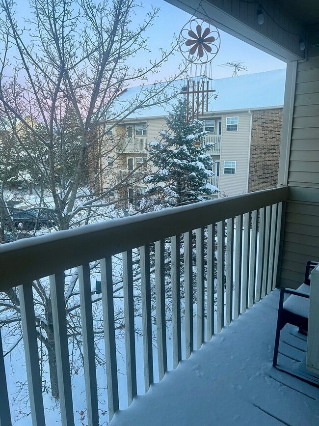 320 Cunat Blvd unit 3A, Richmond, IL 60071 - photo 7