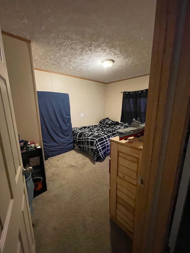 10738 Phillips Store Rd, Broadway, VA 22815 - photo 6